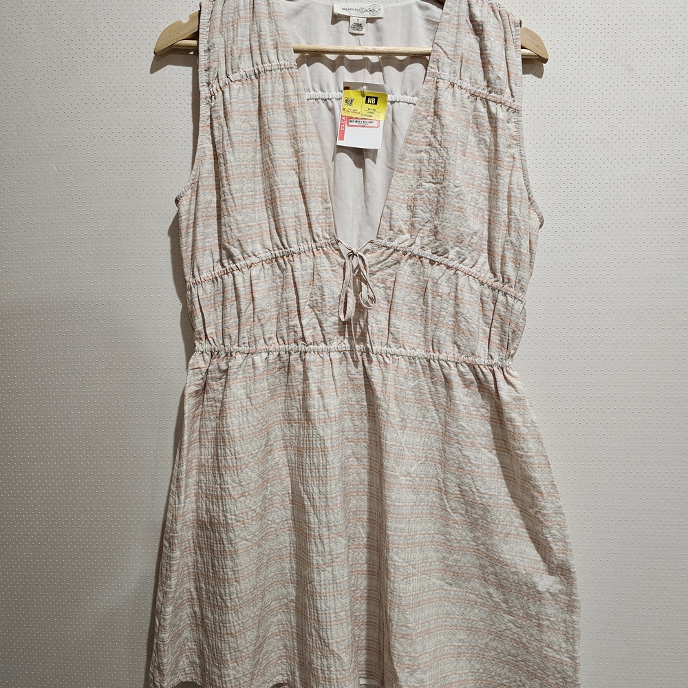 Treasure & Bond Cream and Baby Pink and blue Midi Dress